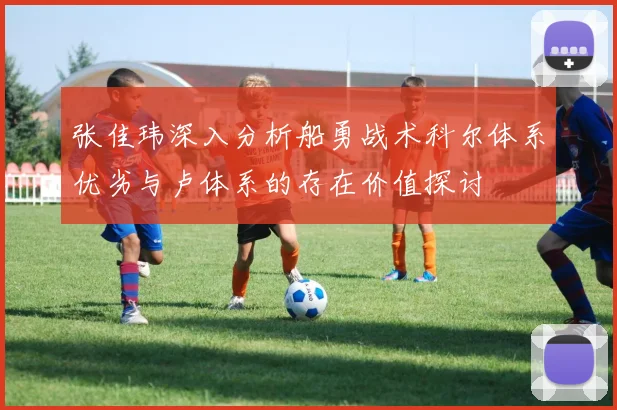 张佳玮深入分析船勇战术科尔体系优劣与卢体系的存在价值探讨