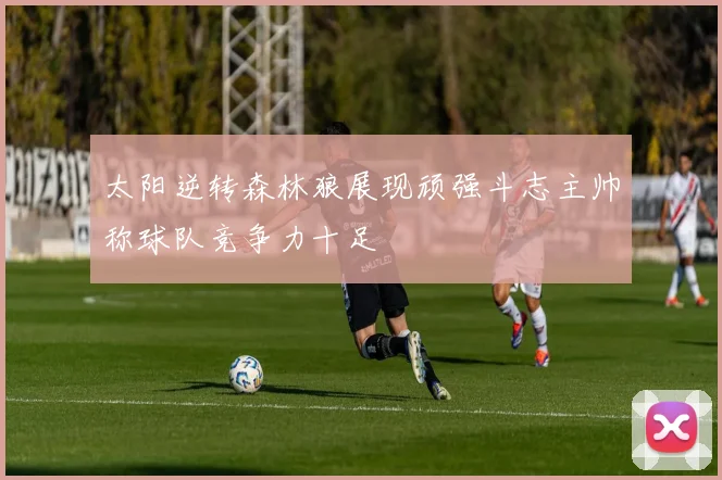太阳逆转森林狼展现顽强斗志主帅称球队竞争力十足